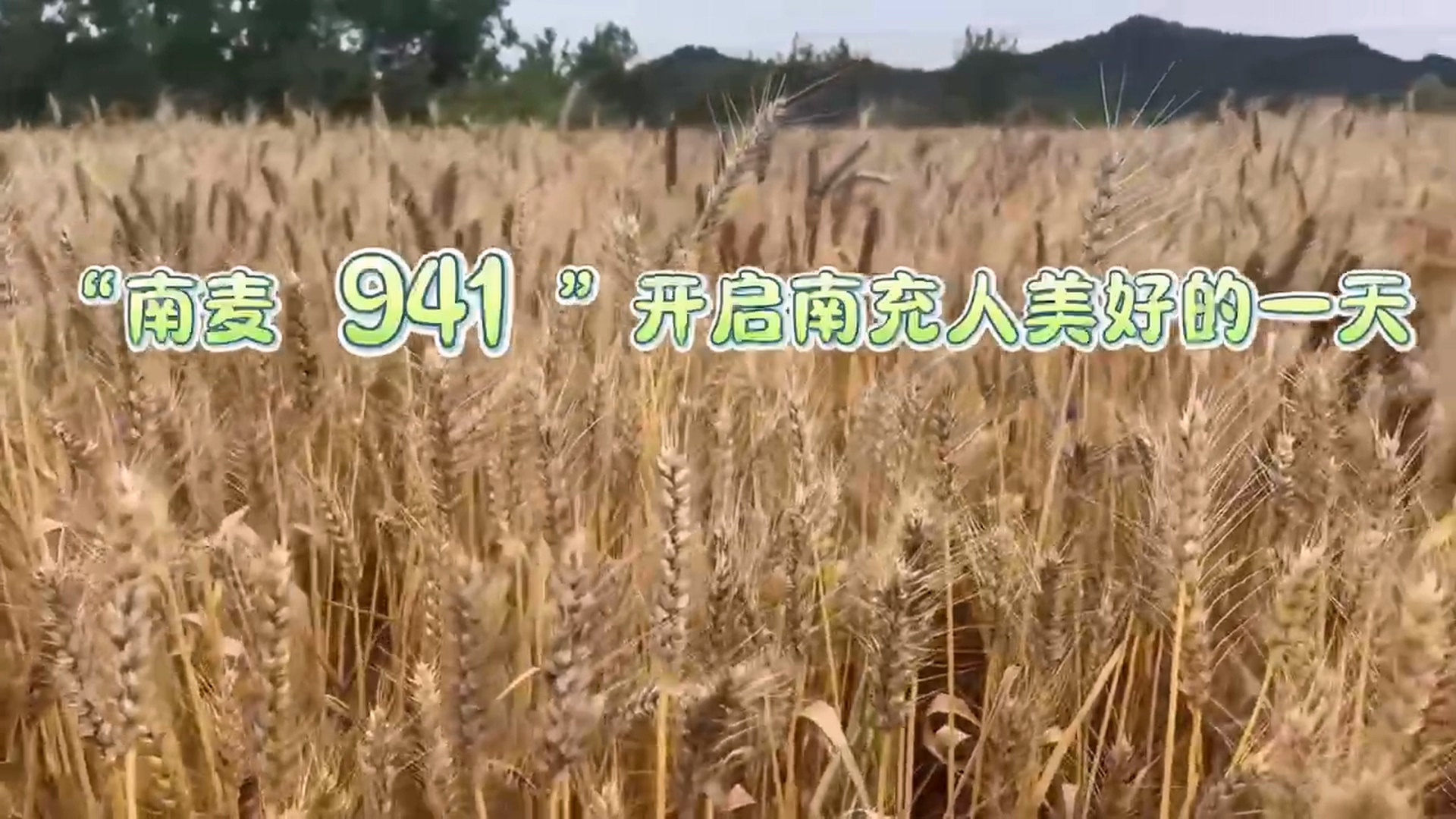 941ϳõһ