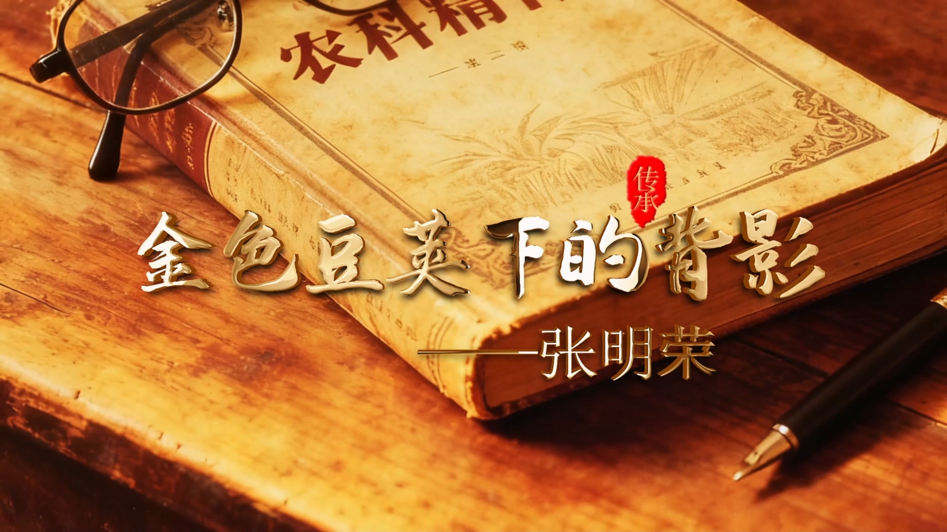 ��ɫ�����µı�Ӱ