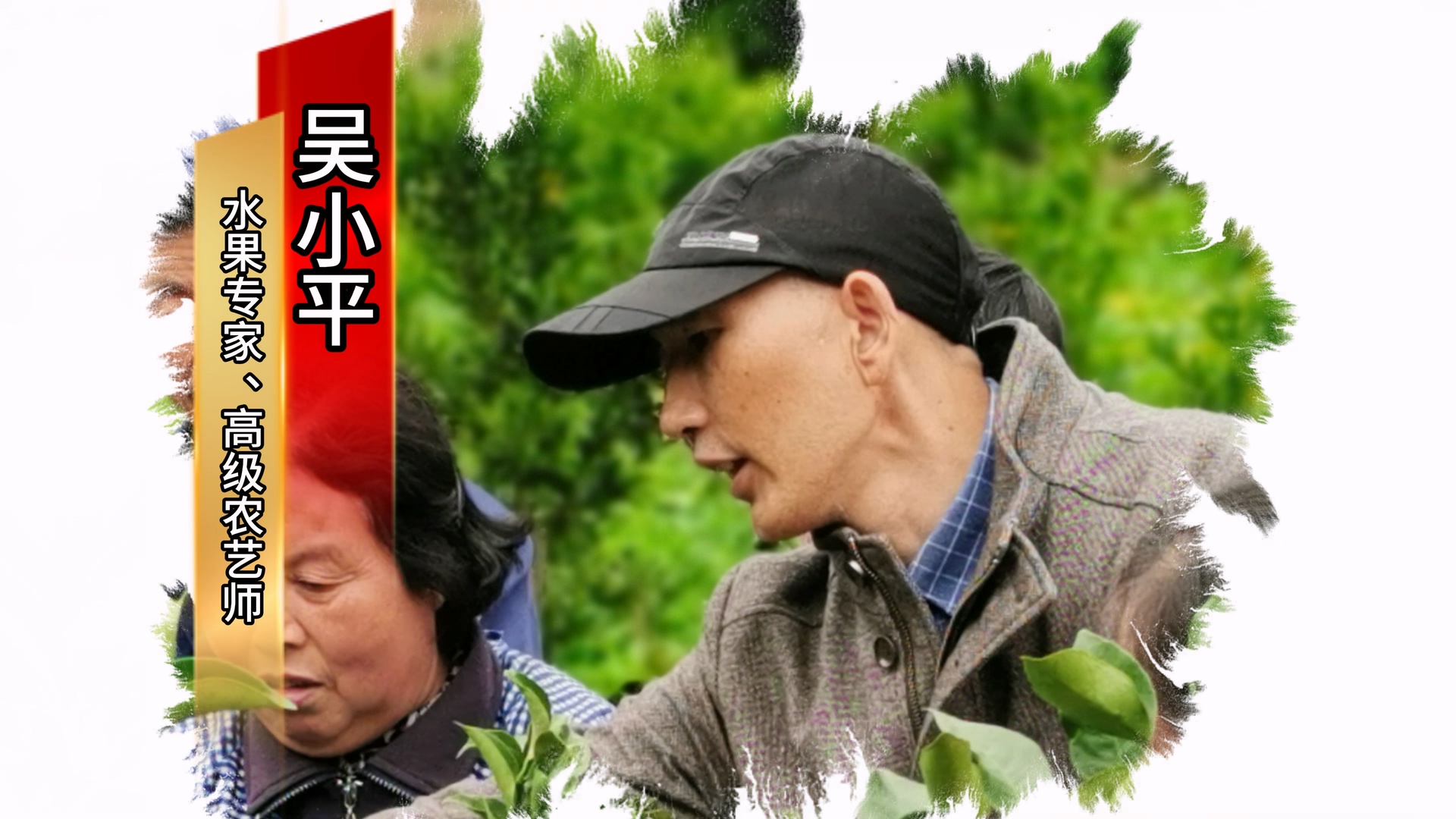 ��Сƽר�Ҹ�