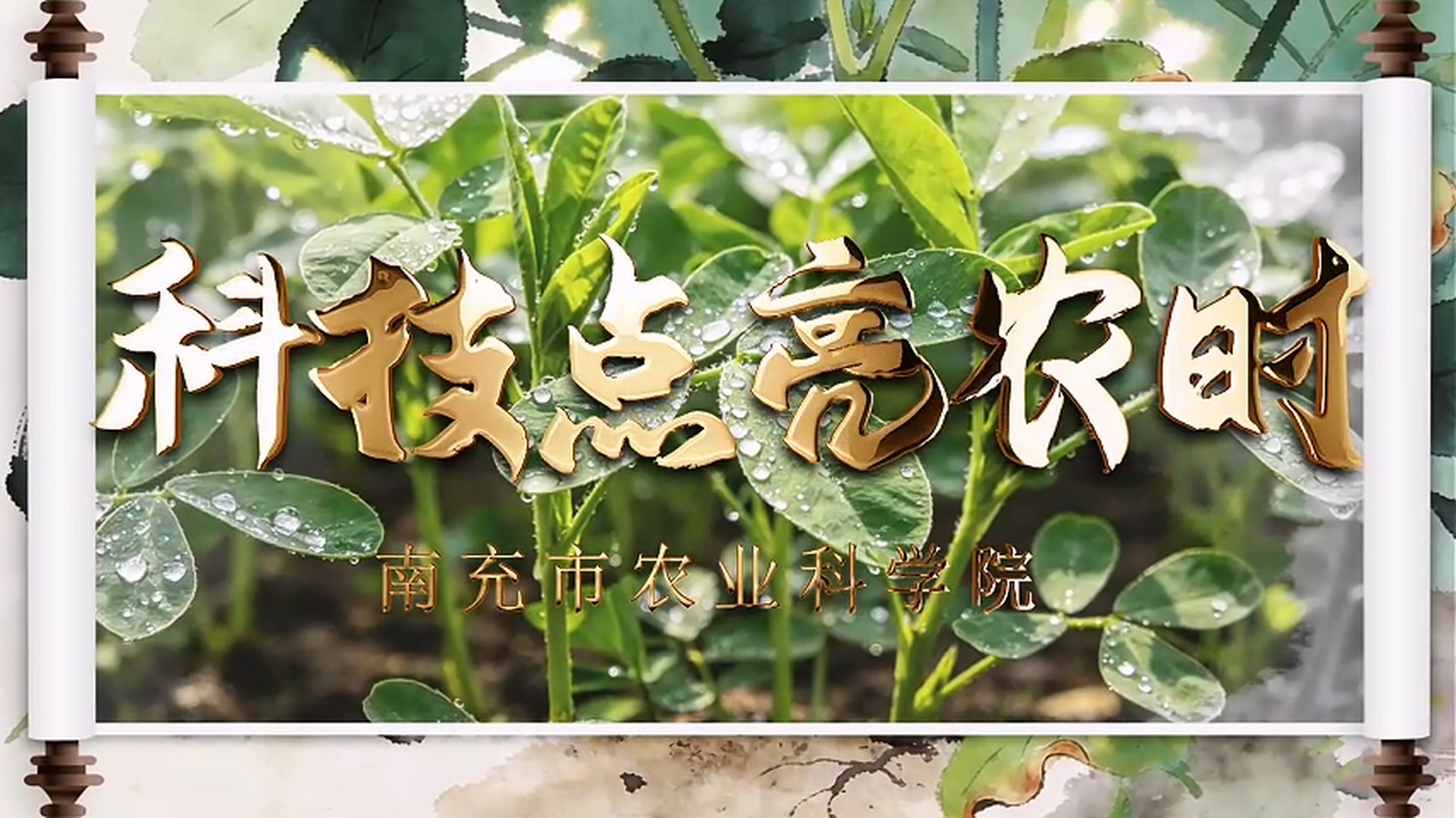 �Ƽ�����ũʱ��10��