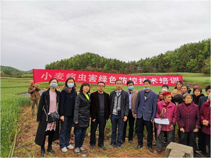 我院麦作所在西充开展“小麦病虫害绿色防控”技术培训