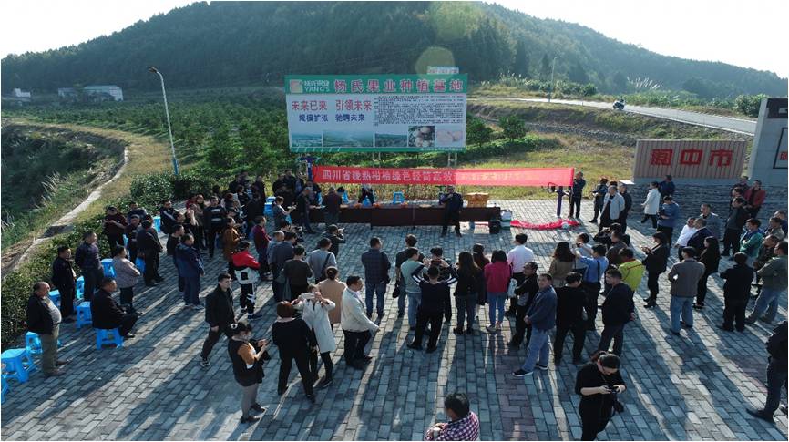 我院主办的“南充晚熟柑桔产业发展专家论坛”在阆中市召开
