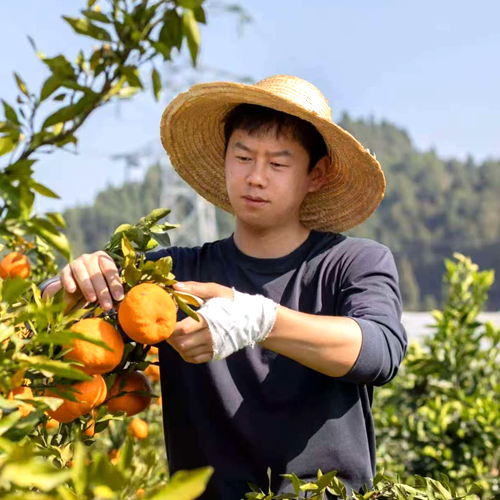 ����ר�ҡ����о�Ա �ѳ�ΰ