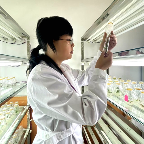 ����ר�ҡ����о�Ա ������