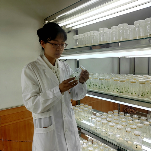 �Ͳ�ר�ҡ��о�Ա ��ϡ