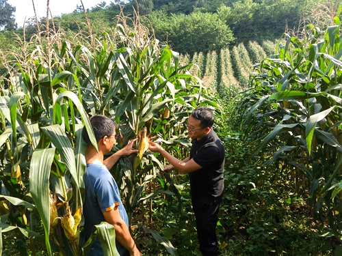 ���ʼ��̷�ר�ҡ����о�Ա  �����