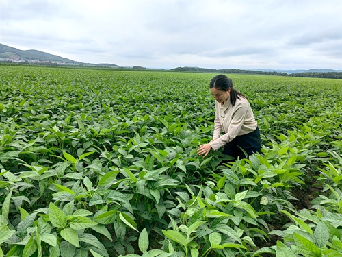 ��ר�ҡ����о�Ա ������