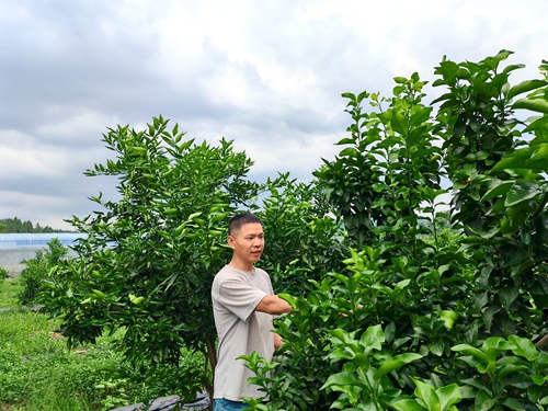 ����ר�ҡ����о�Ա ��Ʒ��