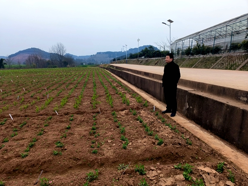 ��ר�ҡ����о�Ա  ������