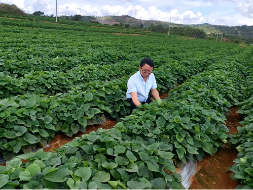 ������������ר�ҡ��о�Ա ��ȫ¬