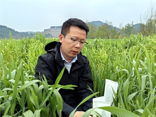 С��ר�ҡ����о�Ա  ����